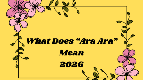What Does “Ara Ara” Mean