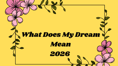 What Does My Dream Mean