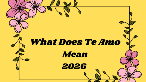 What Does Te Amo Mean