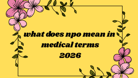 what does npo mean in medical terms