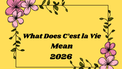 What Does C’est la Vie Mean