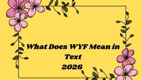 What Does WYF Mean in Text