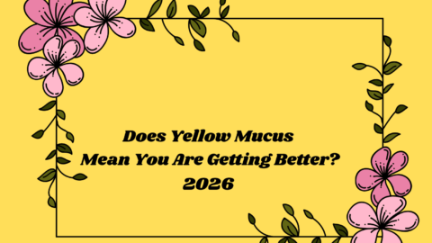 Does Yellow Mucus Mean You Are Getting Better?
