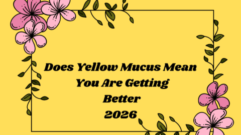 Does Yellow Mucus Mean You Are Getting Better