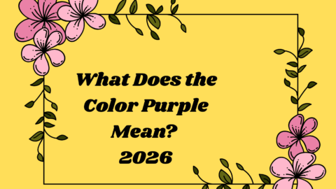 What Does the Color Purple Mean?