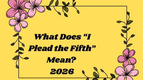 What Does “I Plead the Fifth” Mean?