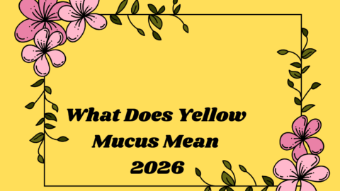 What Does Yellow Mucus Mean