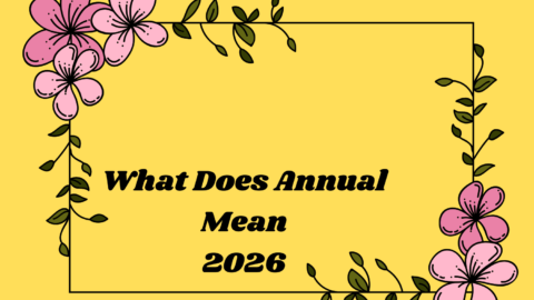 What Does Annual Mean