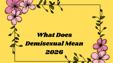 What Does Demisexual Mean