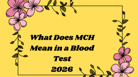 What Does MCH Mean in a Blood Test