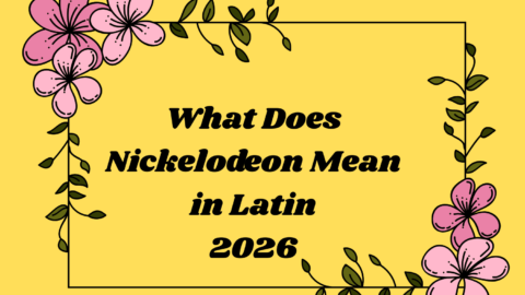 What Does Nickelodeon Mean in Latin
