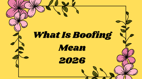 What Is Boofing Mean