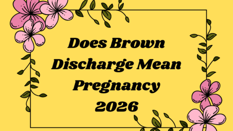 Does Brown Discharge Mean Pregnancy