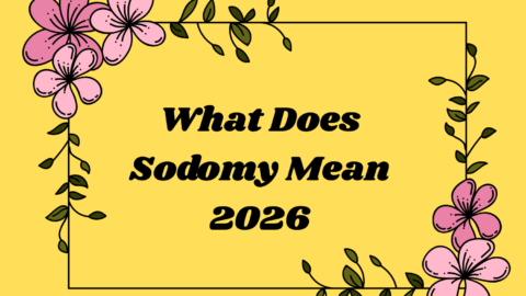 What Does Sodomy Mean