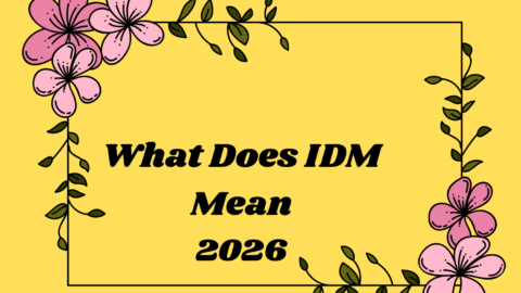 What Does IDM Mean