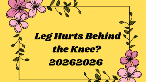 Leg Hurts Behind the Knee