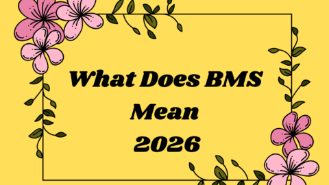 What Does BMS Mean
