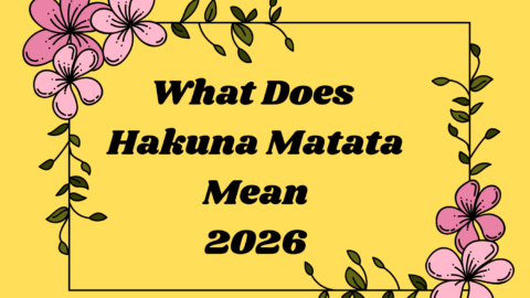 What Does Hakuna Matata Mean