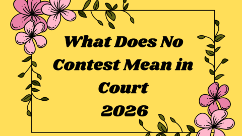 What Does No Contest Mean in Court
