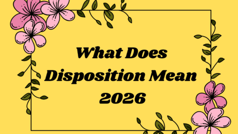 What Does Disposition Mean