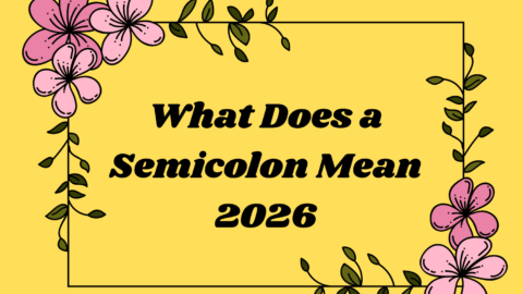 What Does a Semicolon Mean