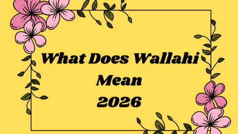 What Does Wallahi Mean
