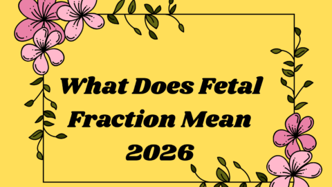What Does Fetal Fraction Mean
