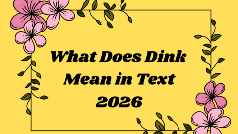 What Does Dink Mean in Text