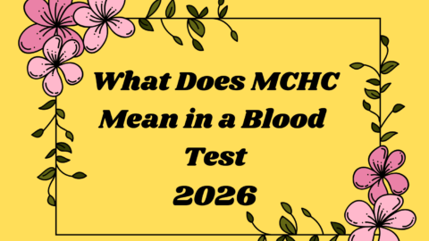 What Does MCHC Mean in a Blood Test