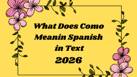 What Does Como Mean in Spanish in Text