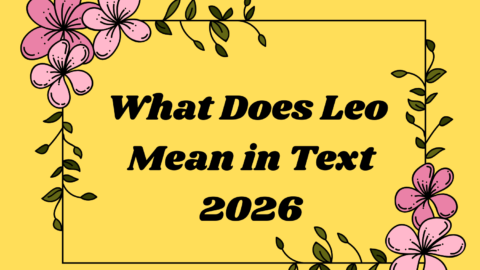What Does Leo Mean in Text