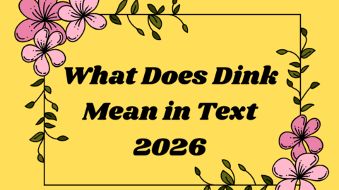 What Does Dink Mean in Text