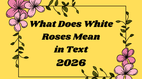 What Does White Roses Mean in Text