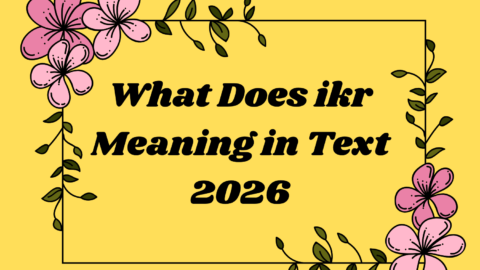 What Does ikr Meaning in Text