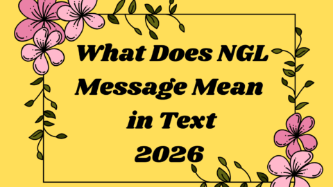 What Does NGL Message Mean in Text