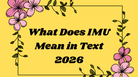 What Does IMU Mean in Text